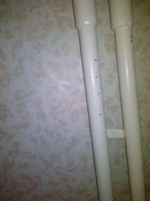 IMG_20161214_164133.jpg